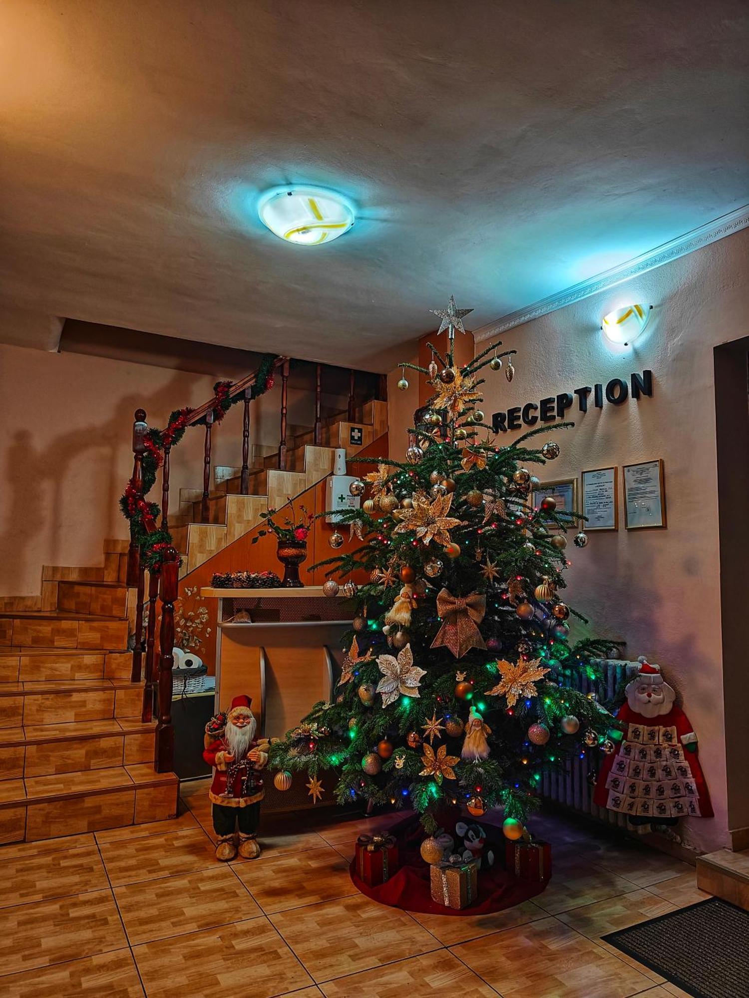 Casa Miclau Apartment Baile Herculane Exterior photo