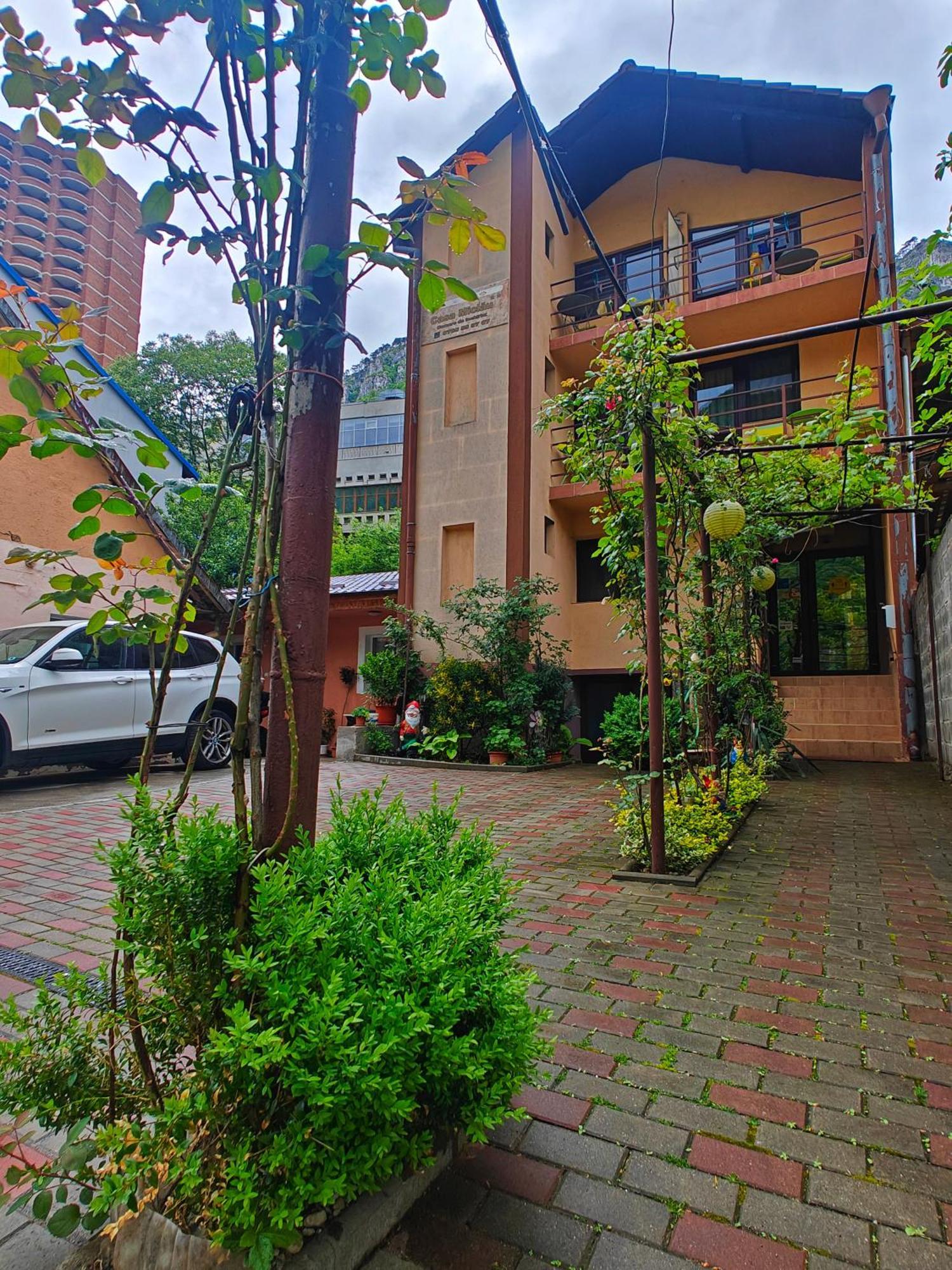 Casa Miclau Apartment Baile Herculane Exterior photo