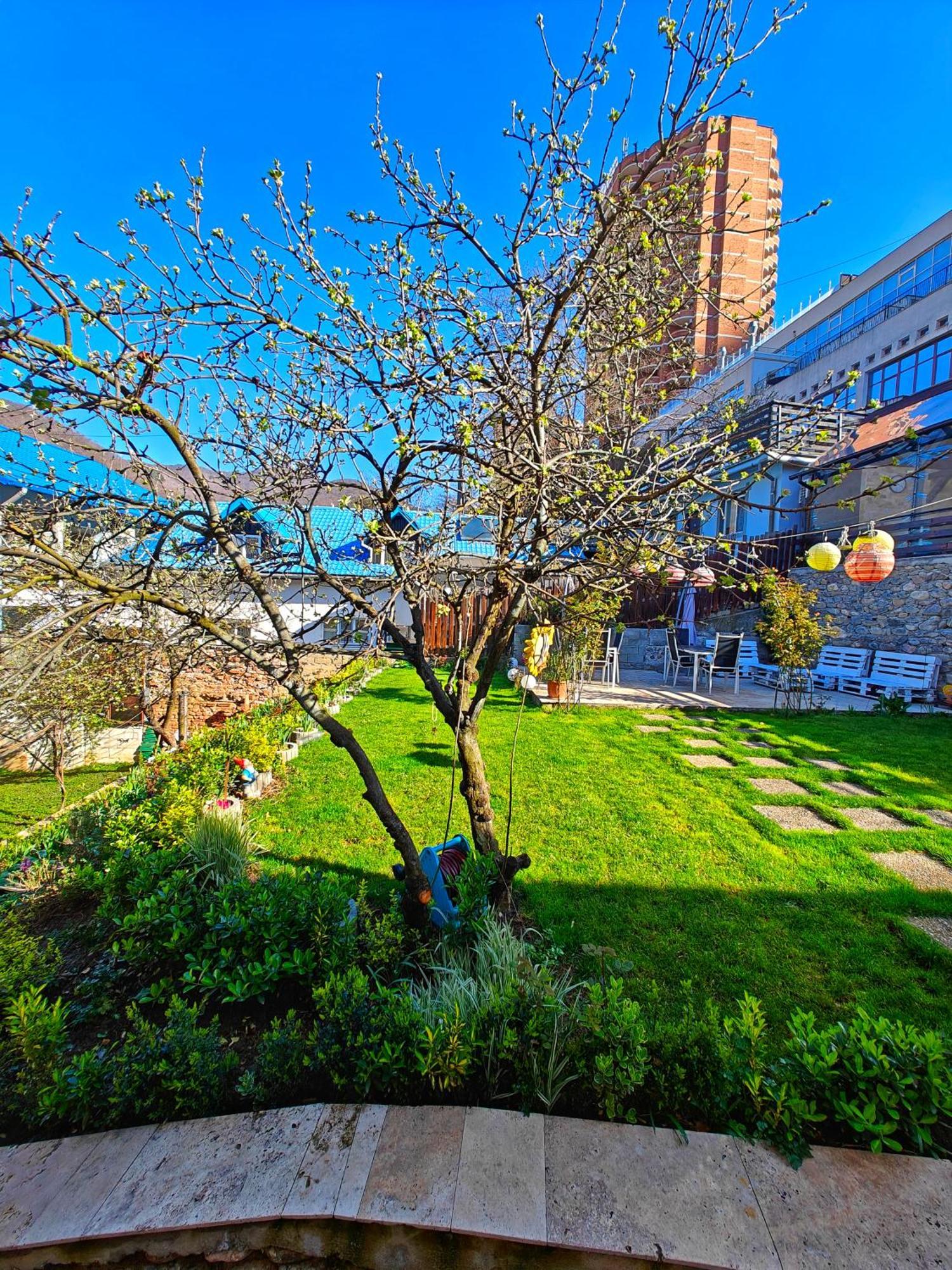 Casa Miclau Apartment Baile Herculane Exterior photo