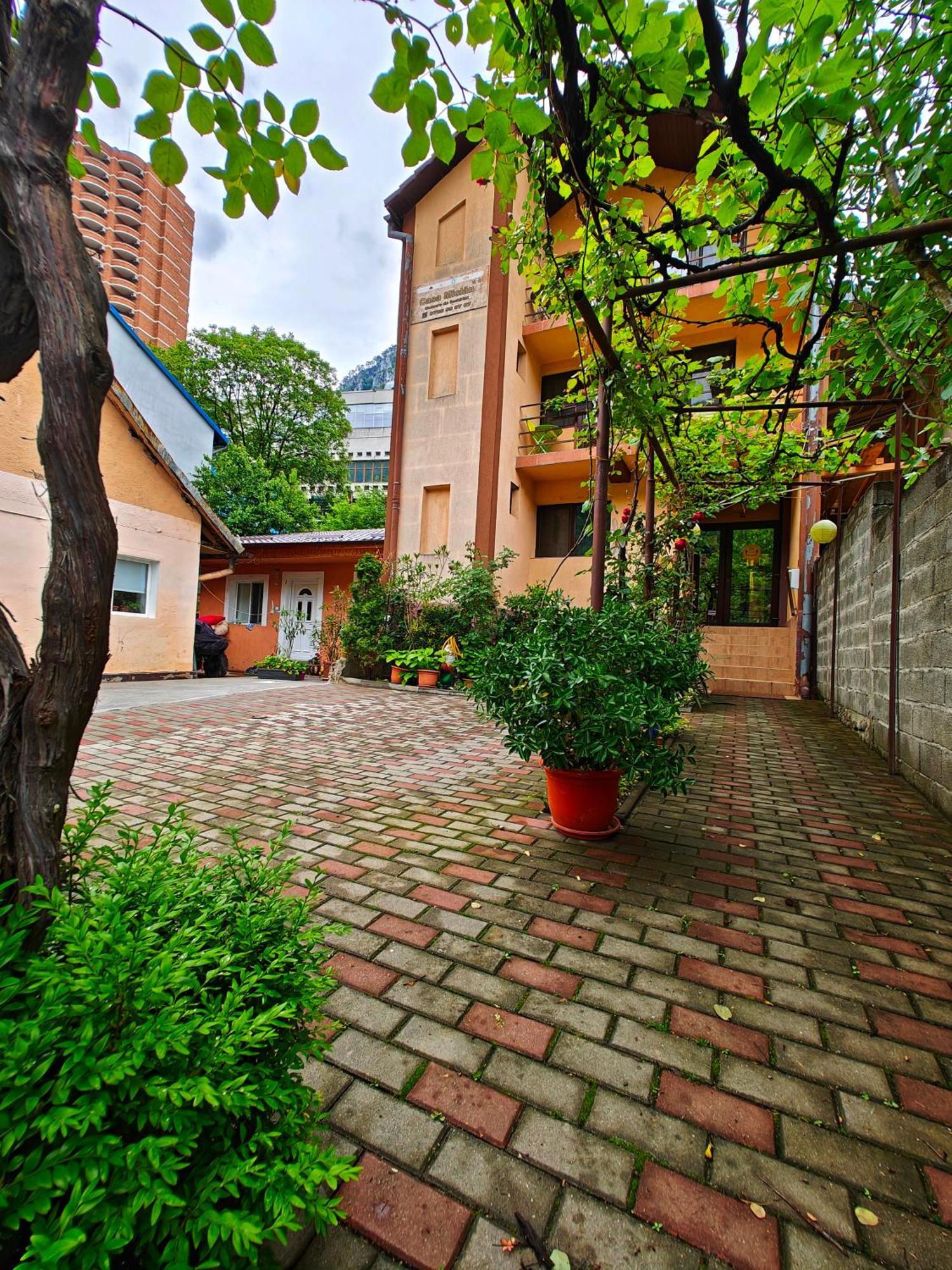 Casa Miclau Apartment Baile Herculane Exterior photo