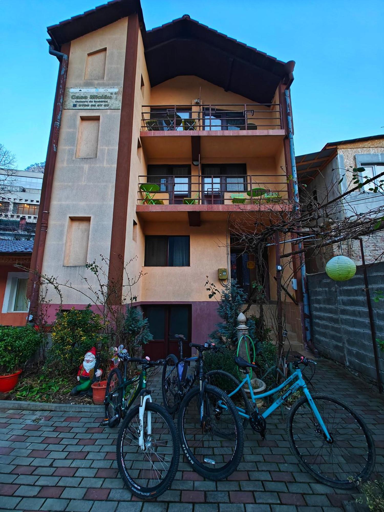 Casa Miclau Apartment Baile Herculane Exterior photo