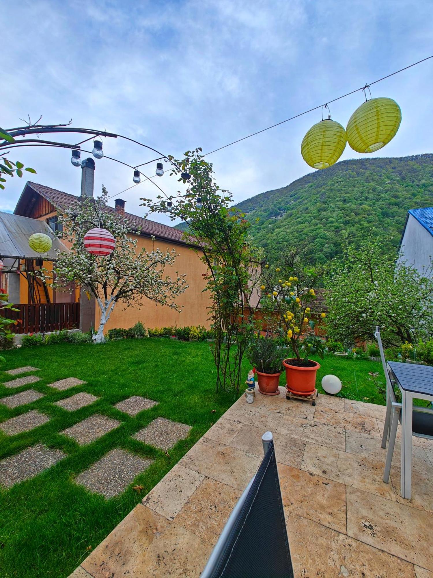 Casa Miclau Apartment Baile Herculane Exterior photo