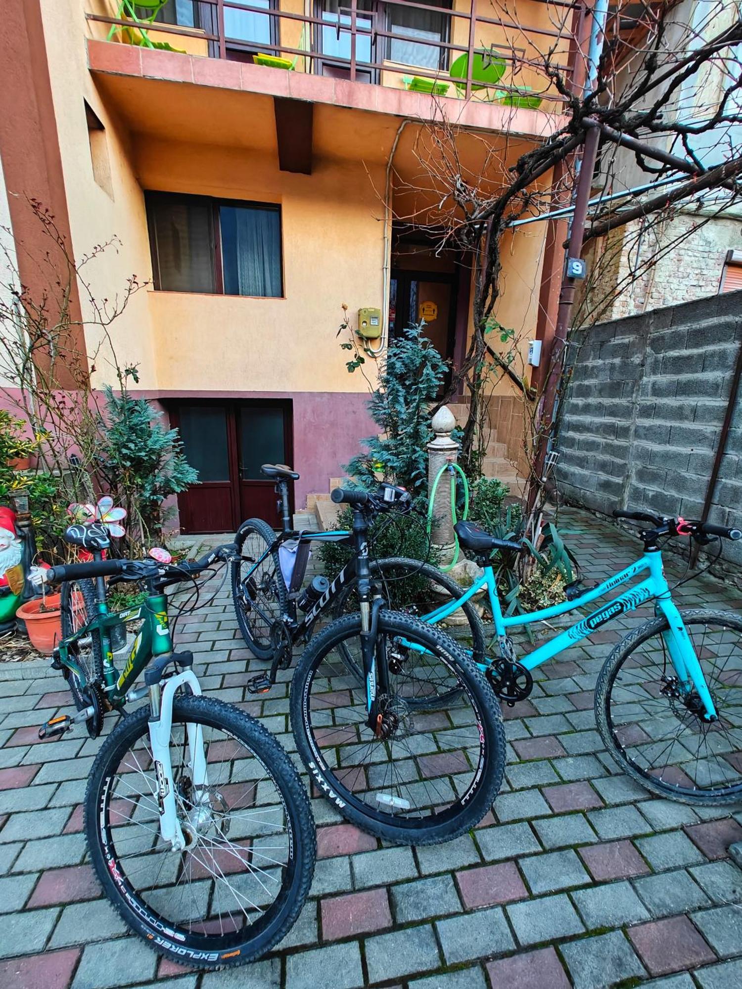 Casa Miclau Apartment Baile Herculane Exterior photo