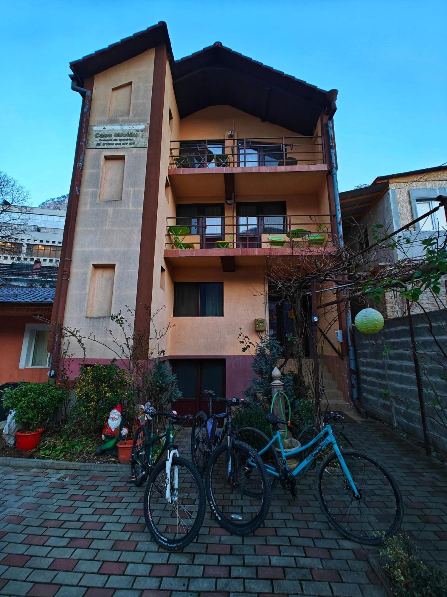 Casa Miclau Apartment Baile Herculane Exterior photo