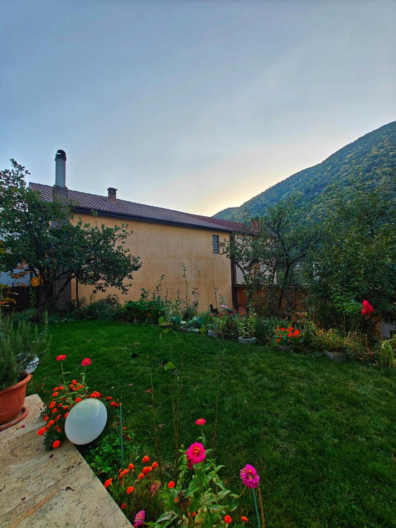 Casa Miclau Apartment Baile Herculane Exterior photo