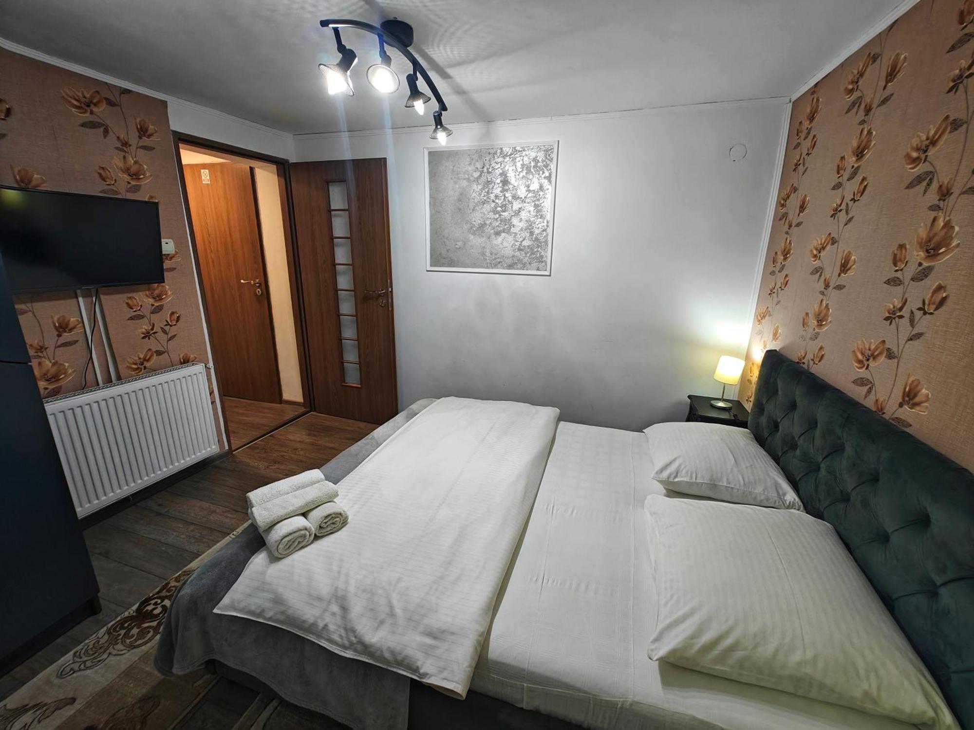 Casa Miclau Apartment Baile Herculane Exterior photo